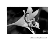 tinybaby-lorentsen-dk-009
