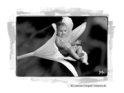 tinybaby-lorentsen-dk-012