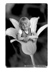 tinybaby-lorentsen-dk-013