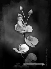 tinybaby-lorentsen-dk-014
