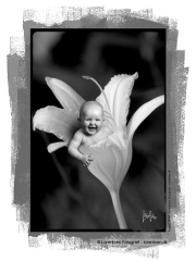 tinybaby-lorentsen-dk-017