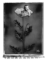 tinybaby-lorentsen-dk-022