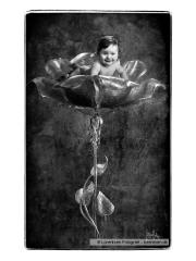 tinybaby-lorentsen-dk-023