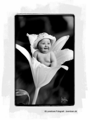 tinybaby-lorentsen-dk-024
