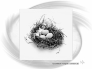 tinybaby-lorentsen-dk-025