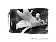 tinybaby-lorentsen-dk-027
