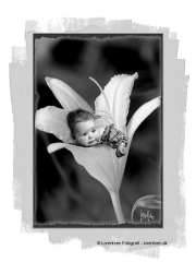 tinybaby-lorentsen-dk-029