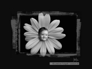 tinybaby-lorentsen-dk-033