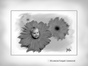 tinybaby-lorentsen-dk-035