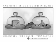 tinybaby-lorentsen-dk-040